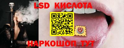 PSILOCYBIN Малоярославец
