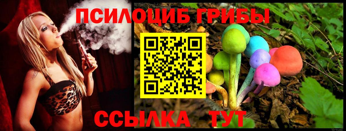 Галлюциногенные грибы Cubensis Волгоград