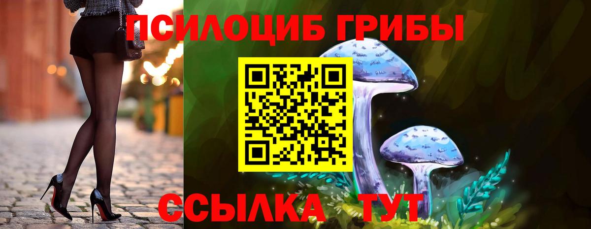 Волгоград  Галлюциногенные грибы MAGIC MUSHROOMS  Вход с VPN 